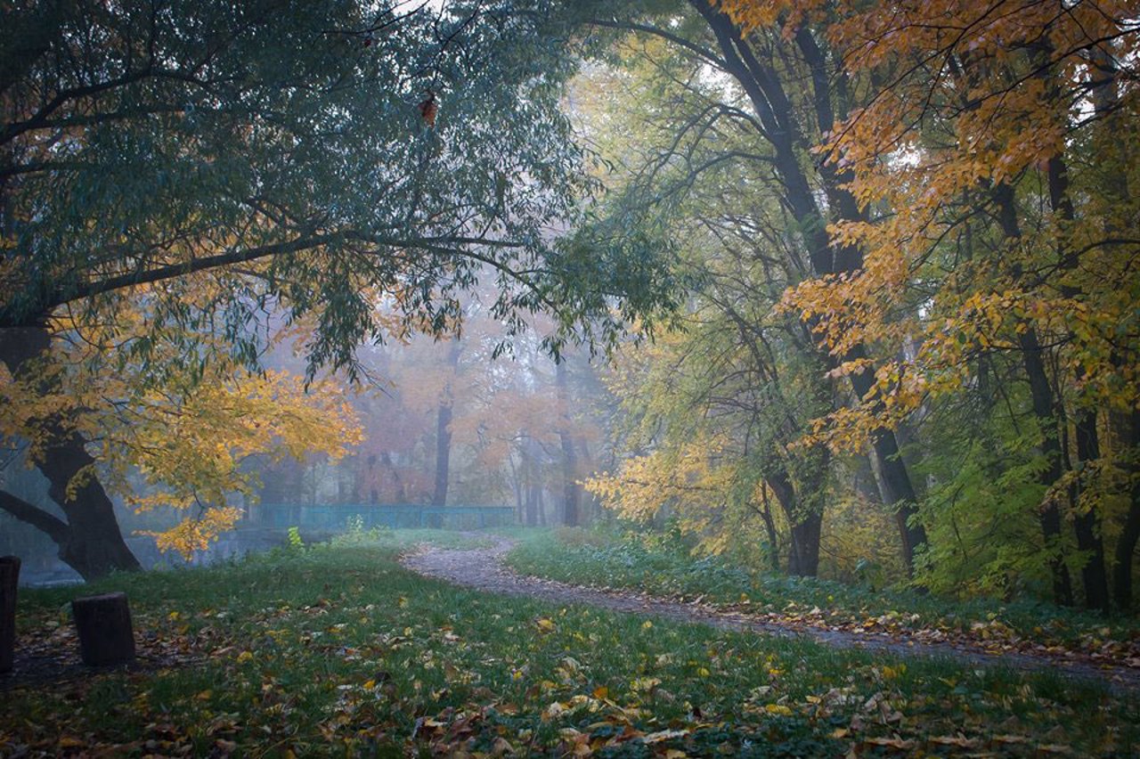 Онуфриевский парк, Онуфриевка