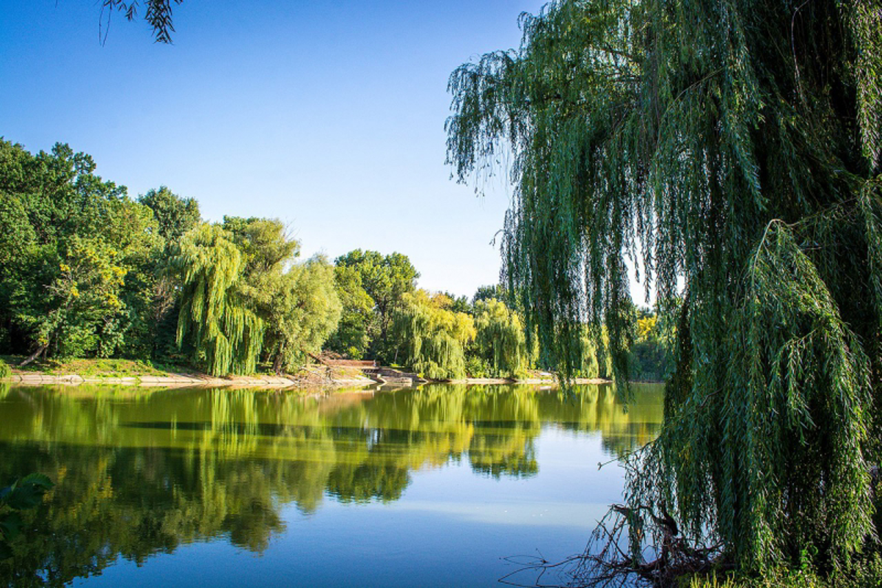 Онуфриевский парк, Онуфриевка