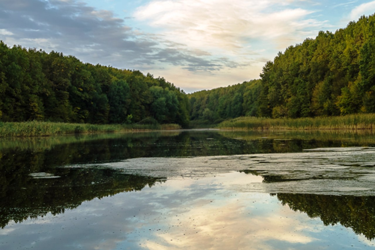 Black Lake (Berestuvate), Bohdanivka