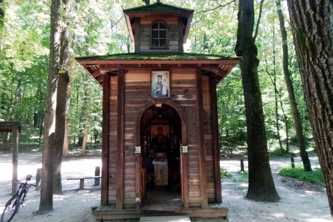 Источник Живун, Головковка