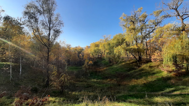 "Chubynsky Farm", Chubynske