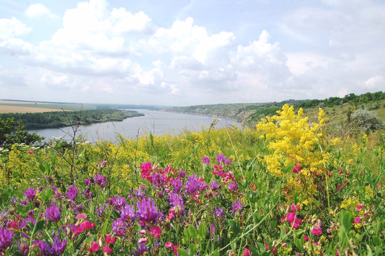 Khotynskyi National Nature Park, Khotyn