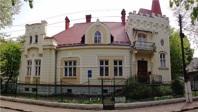 Вілла Володкевича (Музей "Хвилі Стрия"), Стрий