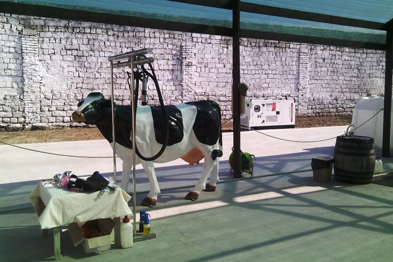 European Cheese Dairy, Shabo