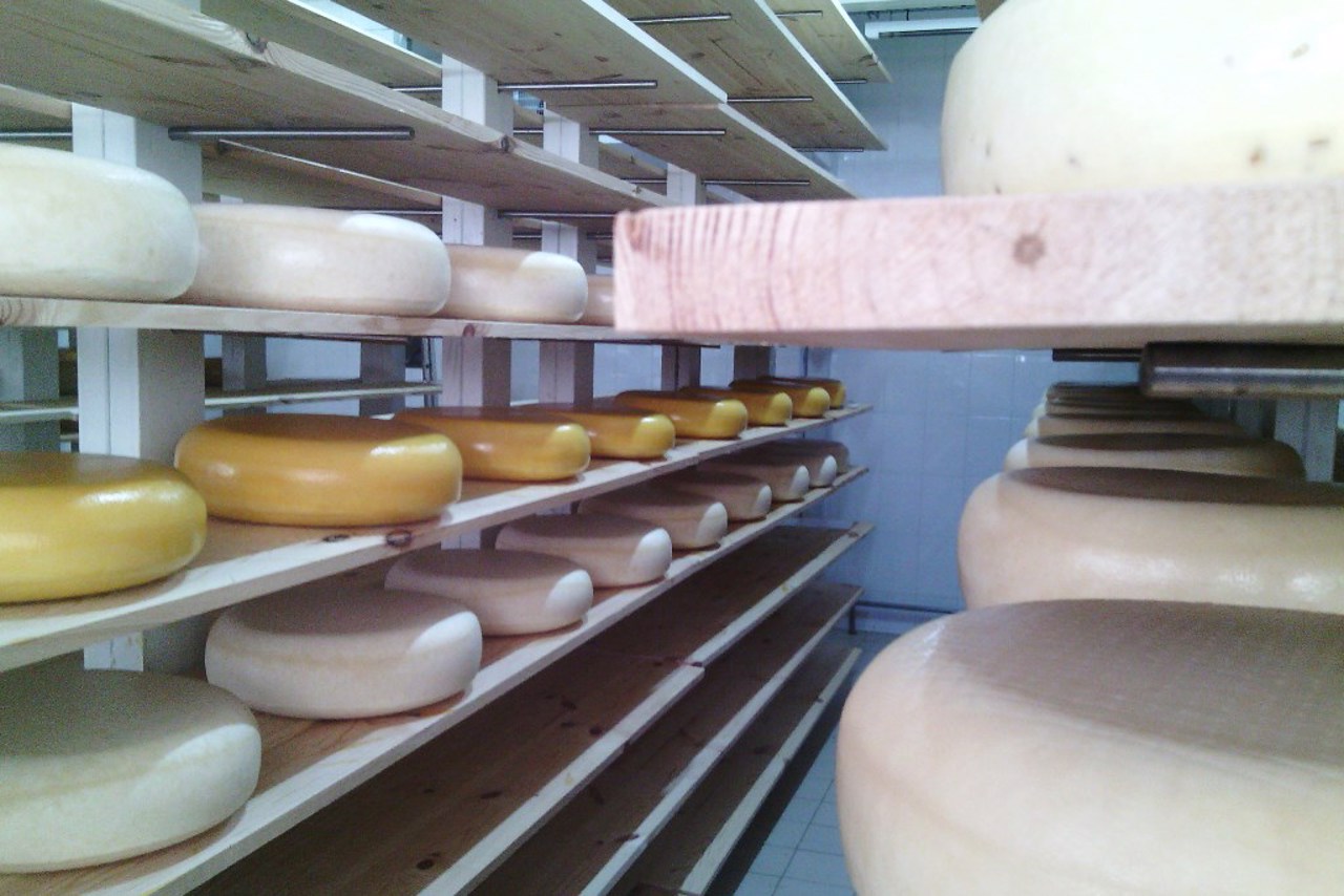 European Cheese Dairy, Shabo