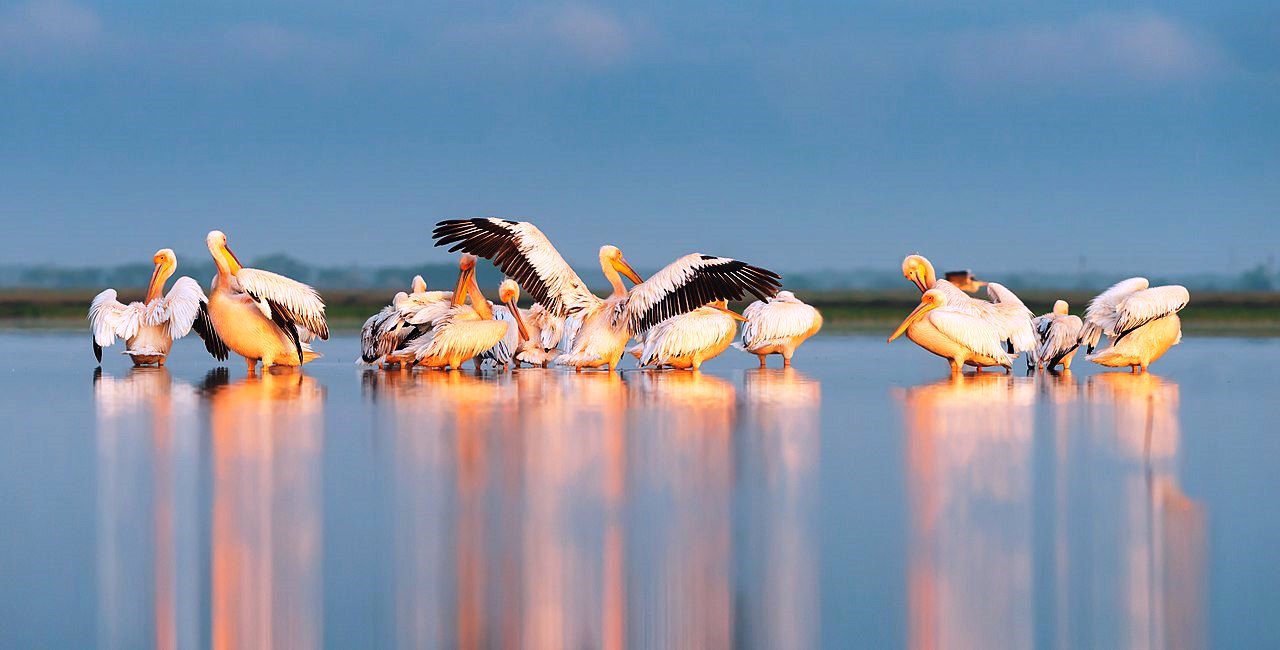 Tuzlivsky Lymany National Nature Park