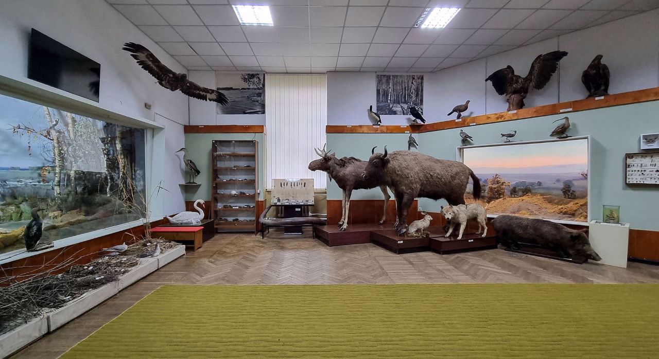 Rivne Local Lore Museum