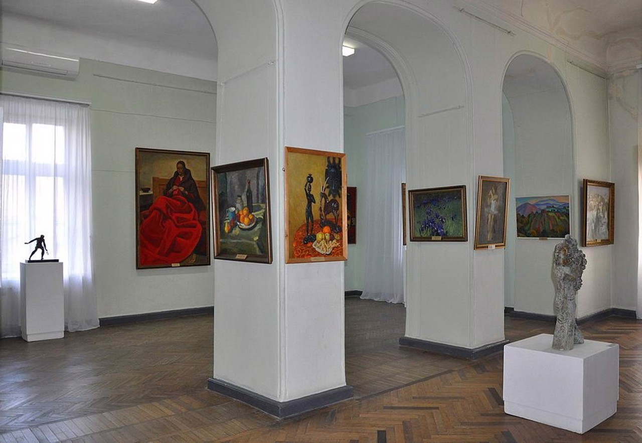 Херсонський обласний художній музей імені Олексія Шовкуненка, Херсон