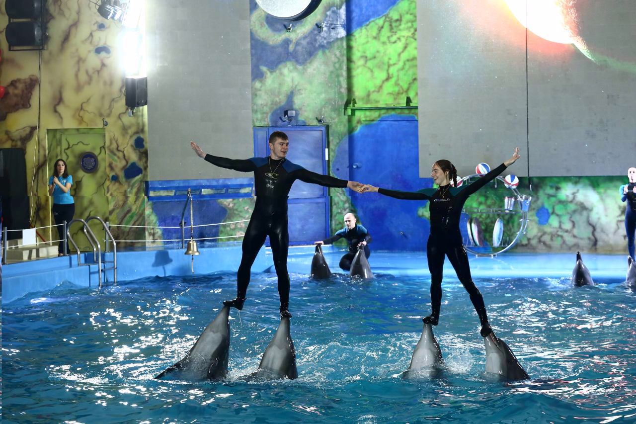 Dolphinarium "Nemo", Odesa