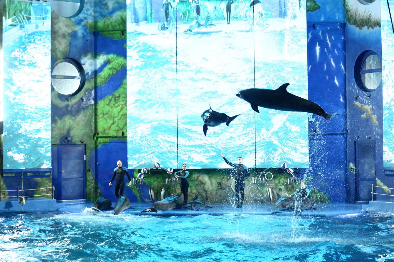 Dolphinarium "Nemo", Odesa