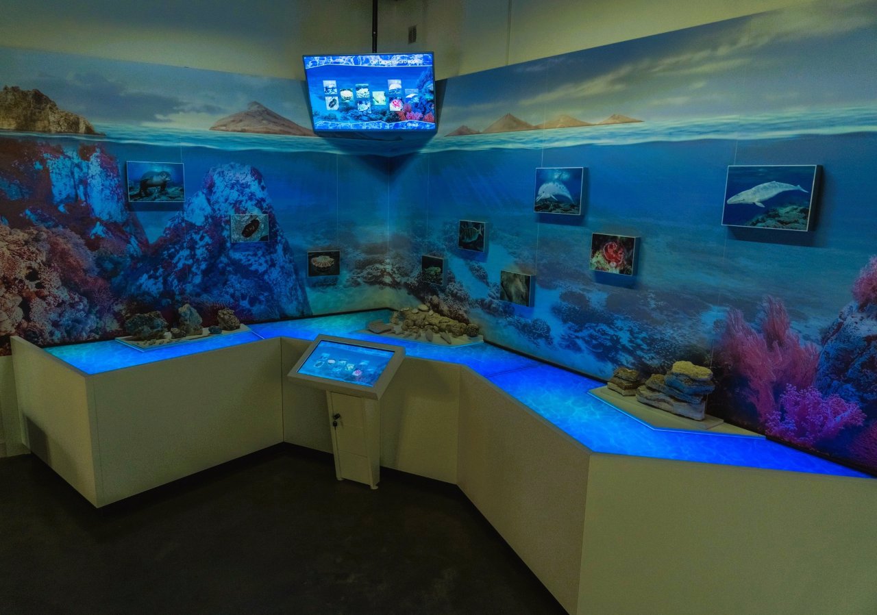 Городокский краеведческий музей G-Museum, Городок