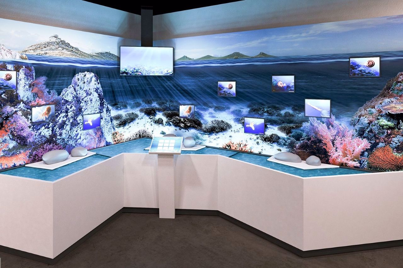 Городокский краеведческий музей G-Museum, Городок