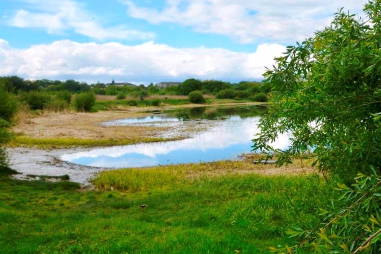 Гнідавське болото, Луцьк