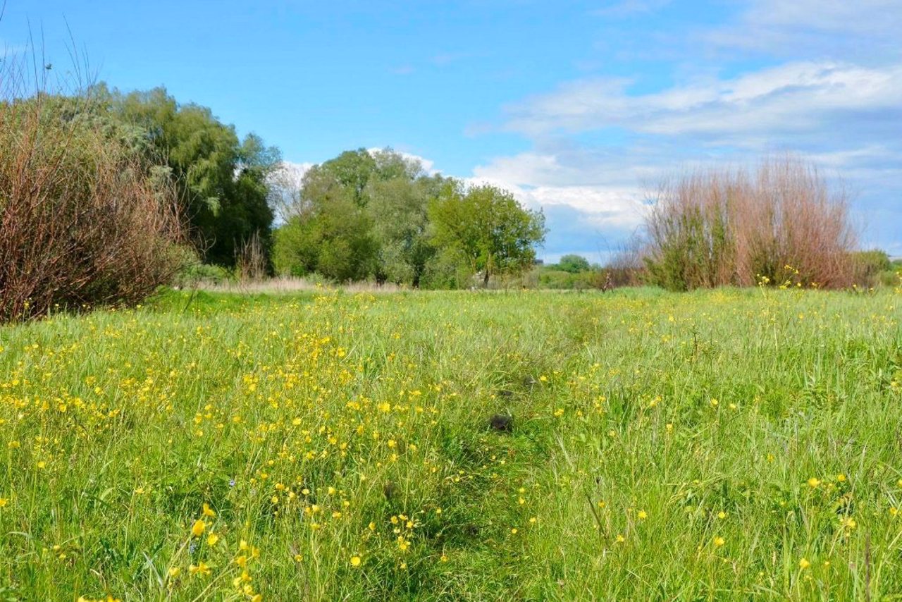 Гнідавське болото, Луцьк
