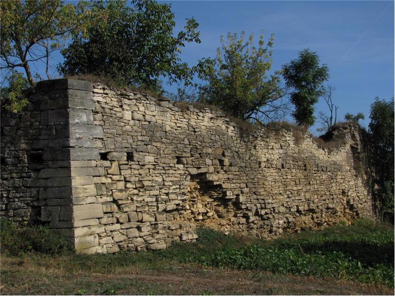 Чернелицький замок, Чернелиця