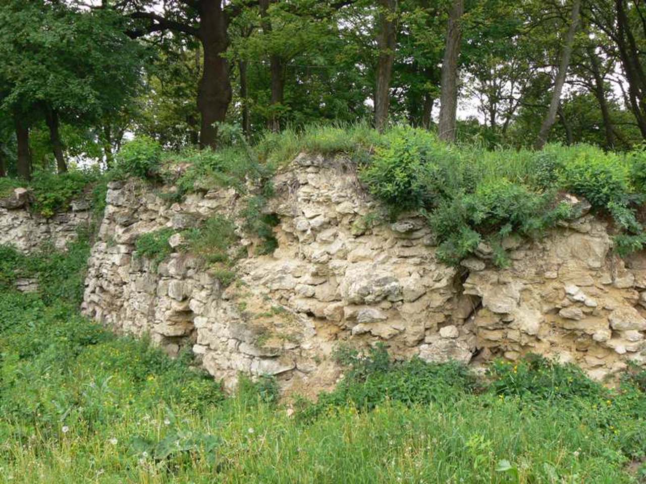 Bar Castle