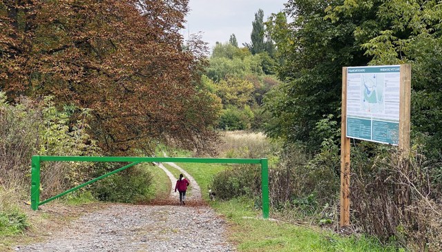 На Гнідавському болоті в Луцьку почали облаштовувати екостежку